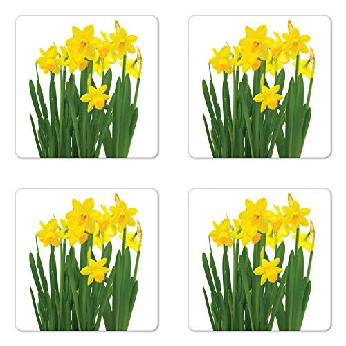 Lunarable Daffodil Coaster Set of 4, Close up Botanical Photo of Fresh and Narcissus on Plain Backdrop, Square Hardboard Gloss Coasters, Standard Size, Fern Green Yellow