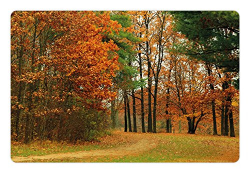 Ambesonne Fall Pet Mat for Food and Water, Cloudy Overcast Day in September Shrubs Pines Sidewalk in The Park Forest, Rectangle Non-Slip Rubber Mat for Dogs and Cats, Orange Green Brown Ambesonne Fall Pet Mat for Food and Water, Cloudy Overcast Day in September Shrubs Pines Sidewalk in The Park Forest, Rectangle Non-Slip Rubber Mat for Dogs and Cats, Orange Green Brown