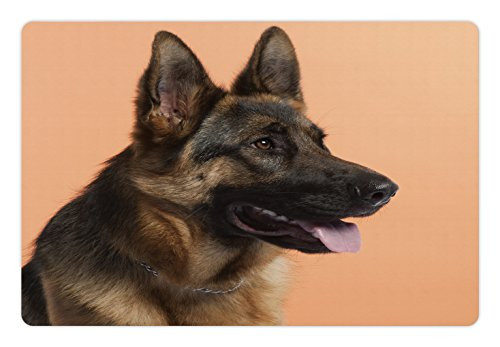Lunarable German Shepherd Pet Mat for Food and Water, Close-up Photo of a Young Dog in Front of Orange Backdrop, Rectangle Non-Slip Rubber Mat for Dogs and Cats, Pale Orange Pale Brown Black