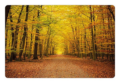 Ambesonne Fall Pet Mat for Food and Water, Seasonal Park Foliage Pathway Scenic Environment Leaves and Branches, Rectangle Non-Slip Rubber Mat for Dogs and Cats, Pale Green Orange Brown Ambesonne Fall Pet Mat for Food and Water, Seasonal Park Foliage Pathway Scenic Environment Leaves and Branches, Rectangle Non-Slip Rubber Mat for Dogs and Cats, Pale Green Orange Brown