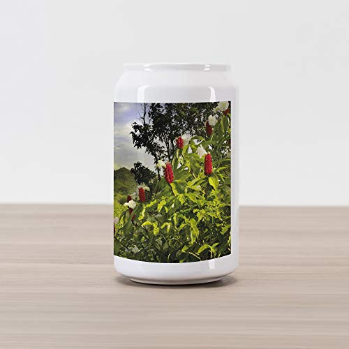Ambesonne Forest Cola Can Shape Piggy Bank, Rural Scenery Costa Rica Countryside Greenery Tropic Accents Botanical, Ceramic Cola Shaped Coin Box Money Bank for Cash Saving, Green Red Violet Blue Ambesonne Forest Cola Can Shape Piggy Bank, Rural Scenery Costa Rica Countryside Greenery Tropic Accents Botanical, Ceramic Cola Shaped Coin Box Money Bank for Cash Saving, Green Red Violet Blue