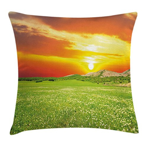 Ambesonne Nature Throw Pillow Cushion Cover, Daisy Flower Meadow Rural with Dramatic Horizon Sky Country Image, Decorative Square Accent Pillow Case, 16" X 16", Fern Green Yellow Orange