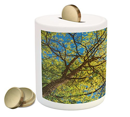 Ambesonne Forest Piggy Bank, Tree Branches Pastoral Lumber Wide Flourishing Natural Beauty Eco Backed Image Art, Printed Ceramic Coin Bank Money Box for Cash Saving, Green Blue Ambesonne Forest Piggy Bank, Tree Branches Pastoral Lumber Wide Flourishing Natural Beauty Eco Backed Image Art, Printed Ceramic Coin Bank Money Box for Cash Saving, Green Blue