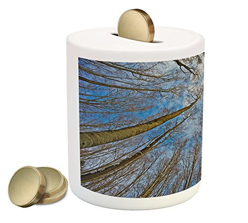 Ambesonne Nature Piggy Bank, Skyward Image of Leafless Twiggy Tree Trunk Cloudy Morning Nature Outdoor Print, Printed Ceramic Coin Bank Money Box for Cash Saving, Blue Brown