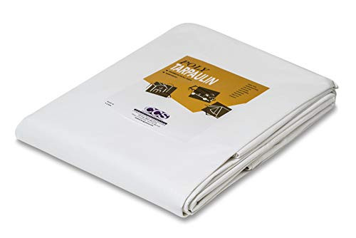 Heavy Duty White Poly Tarp (12' x 25')