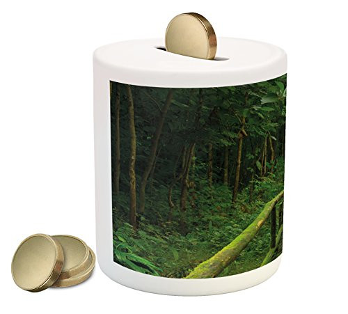 Ambesonne Jungle Piggy Bank, Rainforest in Thailand Foliage Greenery Wooden Pathway Trekking Primeval, Printed Ceramic Coin Bank Money Box for Cash Saving, Green Brown