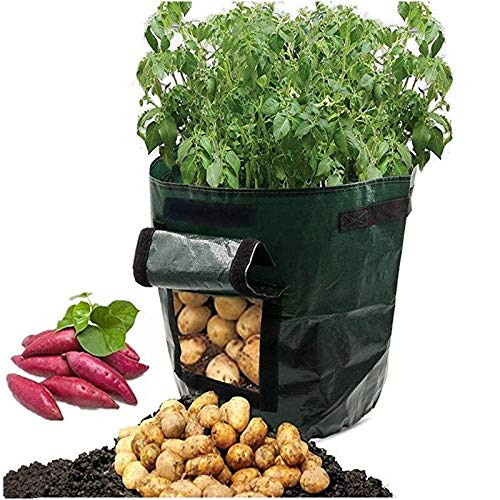 String Lights Potato Grow Container Bag DIY Planter PE Cloth Planting Vegetable Gardening Vegetable Pot Planting Grow Bag Garden Tool