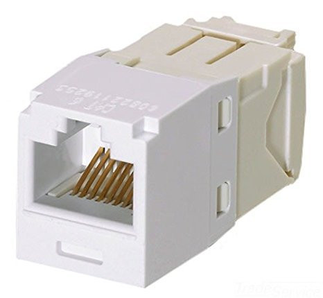Panduit Mini-com Tx6 Plus Modular Insert - Rj-45 - Rohs Compliance