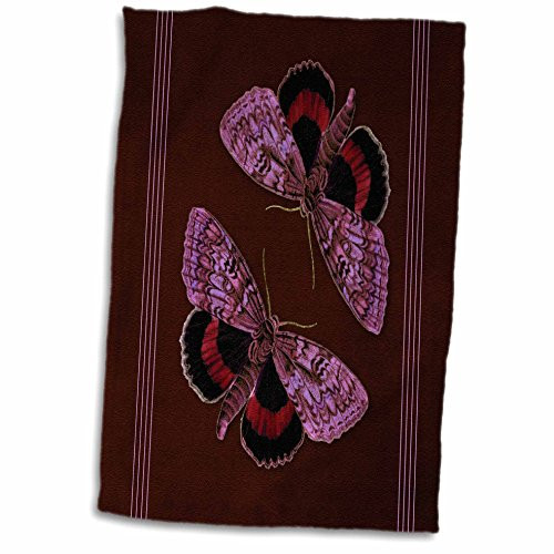 3dRose Yellow and Blue Robed Angel, Floral Alter Piece, Cream Cloud-Textured Background Towel, 15 x 22