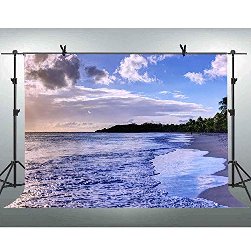 FLASIY Backdrop Sea Wave Landscape Photography Backdrops 10x7FT Blue Sky White Clouds Tree Photo Background for Wedding Party YouTube Studio Photo Video Shooting Props AYY019