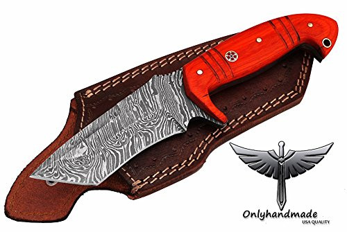 OH-64 Beautiful Damascus Knife Made Of Remarkable Damascus Steel and Exotic wood handle.Damascus tanto blade knife -Its A Hunting Knife With Sheath OH-64