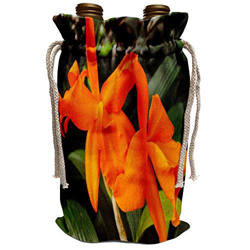 3dRose WhiteOak Photography Floral Prints - Cattleya Orchid Orange Orchids - Wine Bag -wbg-22529-1-