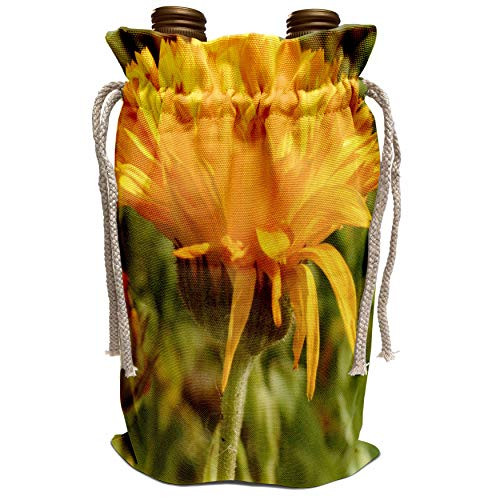 3dRose Patricia Sanders Flowers - Summer Orange Flower Macro- Flowers- Photography - Wine Bag -wbg-36198-1-