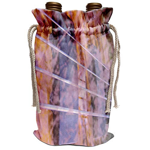 3dRose Susans Zoo Crew Musical Instruments - Grunged Four string bass strings and pickups - Wine Bag -wbg-155979-1-