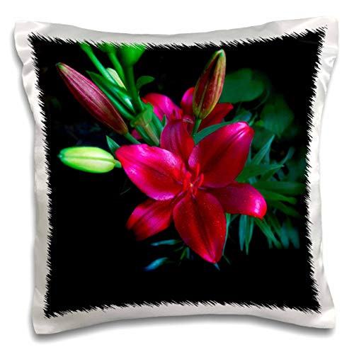 3dRose Mike Swindle Photography - Flowers - Red Day Lilly with Blooms - Pillow Cases -pc-336439-1-