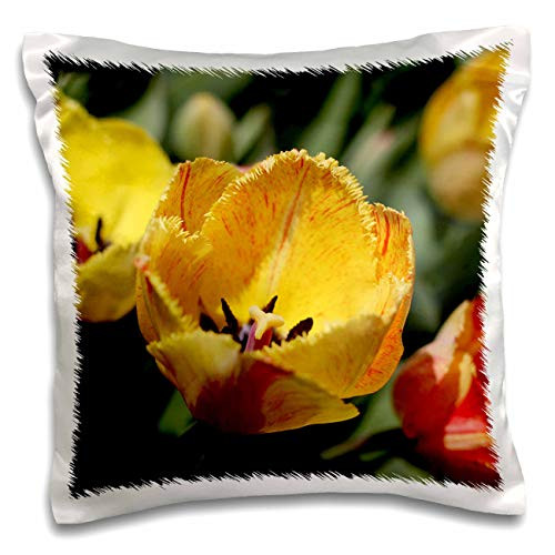 3dRose Stamp City - flowers - Photograph of elegant fringed yellow tulips with red stripes. - 16x16 inch Pillow Case -pc-308740-1-