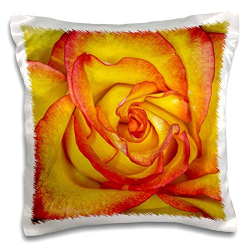 3dRose Danita Delimont - Flowers - Yellow and red rose. - 16x16 inch Pillow Case -pc-313898-1-