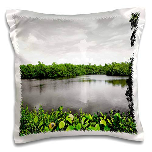 3dRose Image of Black And White Sanibel Nature Park With Green Plants - Pillow Cases -pc-326061-1-