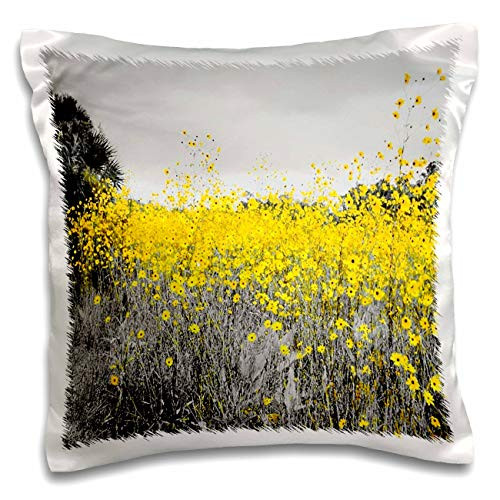 3dRose Image of Black And White With Field Yellow Sunflowers In Florida - Pillow Cases -pc-326078-1-