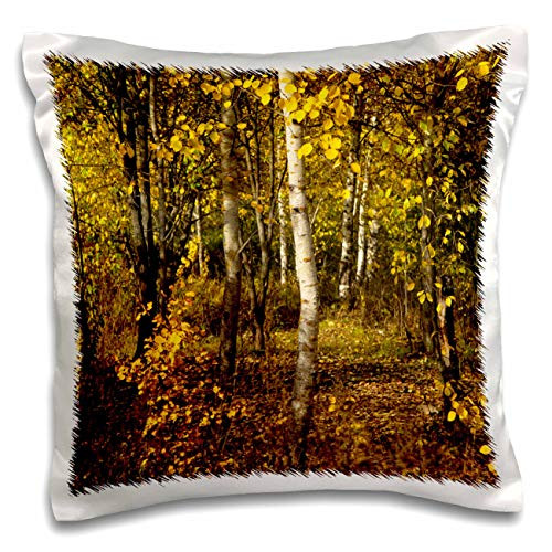 3dRose Yellow aspen trees in the forest on a sunny autumn day - Pillow Cases -pc-327922-1-