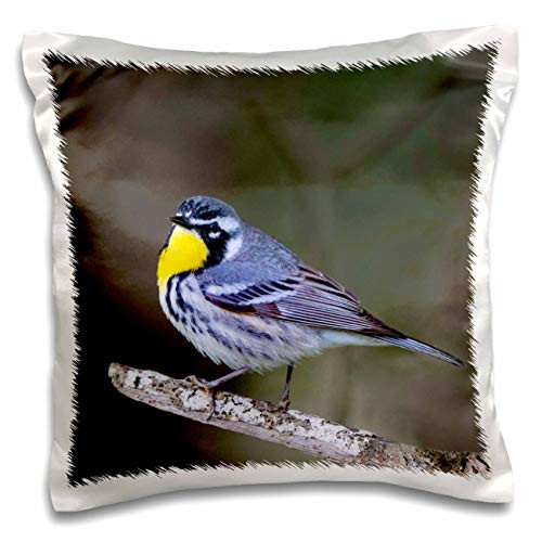 3dRose Yellow-throated warbler, Dendroica dominica perched. - Pillow Cases -pc-332236-1-