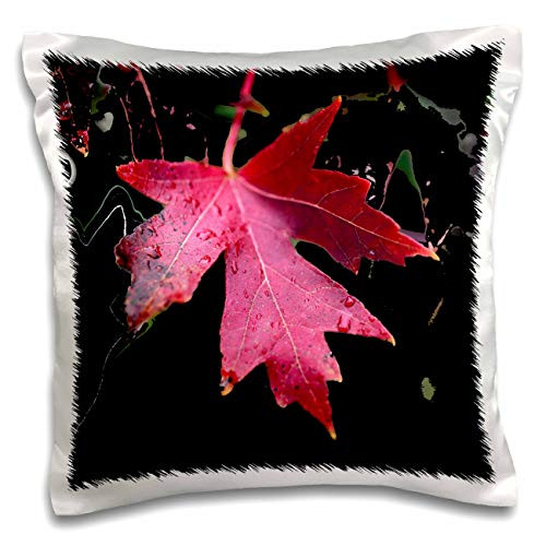 3dRose An abstract macro photograph of a red maple leaf during autumn. - Pillow Cases -pc-335378-1-