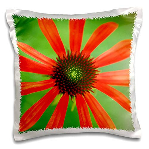 3dRose Macro photograph of a single red coneflower that just bloomed - Pillow Cases -pc-335616-1- 3dRose Macro photograph of a single red coneflower that just bloomed - Pillow Cases -pc-335616-1-