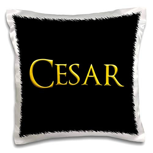 3dRose Cesar attractive male name in the USA. Yellow on black talisman - Pillow Cases -pc-340150-1-