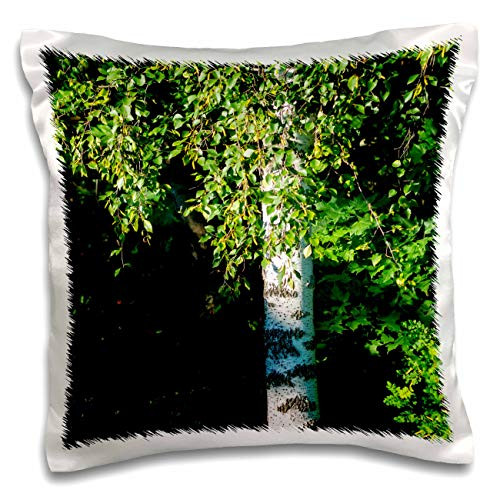3dRose White body of a birch tree, sunlit green leaves, dark background - Pillow Cases -pc-340170-1-