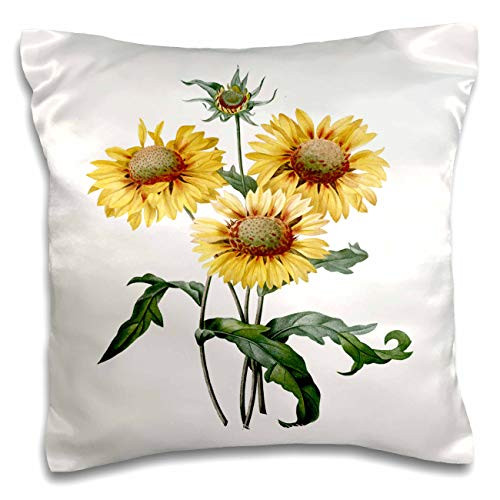 3dRose Pretty Yellow Sunflowers Illustration - Pillow Cases -pc-344912-1-