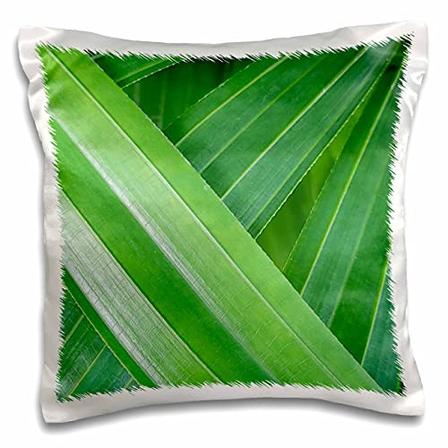 3dRose Image of Green Palm Frond Leaves - Pillow Cases -pc-348594-1-