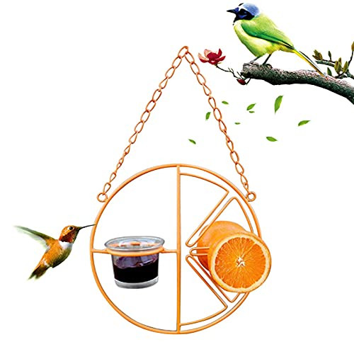 Oriole Bird Feeder for Outdoors Jelly and Oranges,Orange Fruit Oriole Jelly Bird Feeder Jelly Container Hummingbird Feeder for Outdoor Garden Patio Trunk Outside,Orange -Orange-
