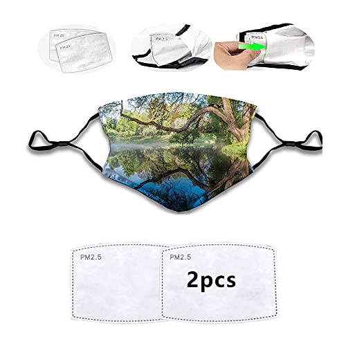 Fashion Trends Mirror Sur of The Pond with a Haze of Fog Branches Stretched Over The Water Dustproof Windproof Face Mask,Reusable,Washable,Cover for Dust Men Women