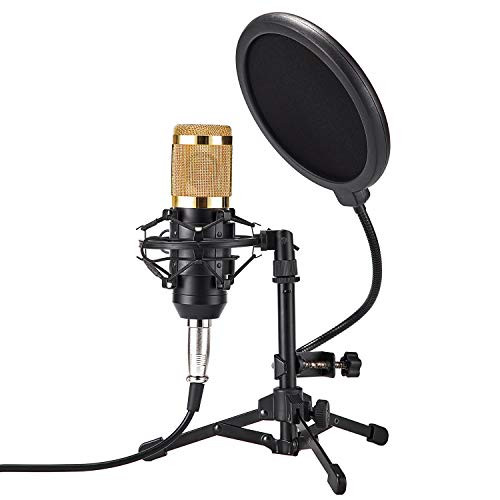 ZINGYOU Desktop Microphone Set ZY-801+ Condenser Microphone Professional Studio Cardioid PC Mic Bundle for Studio Recording and Broadcasting (Sunrise Gold)