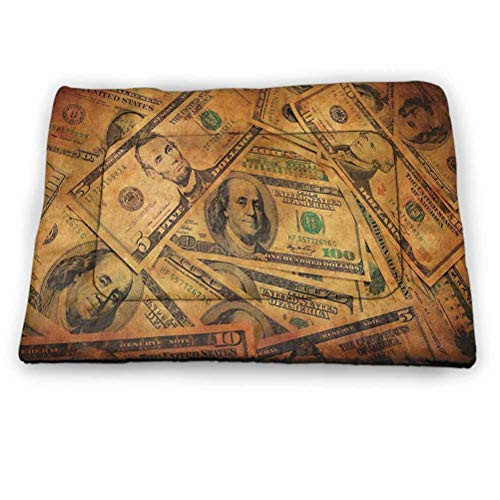 DayDayFun Money Pet Mat Grunge Style Background with Fiver Sawbuck and Century Note Important Figures Pet Mat Waterproof Pale Green Brown 23"x15.5"