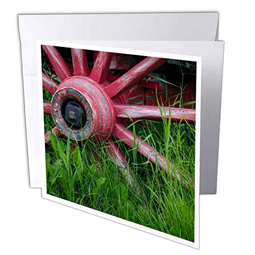 3dRose Danita Delimont - Scenics - USA, Alaska, Chena Hot Springs. Vintage Wagon Wheel and Grass. - 6 Greeting Cards with envelopes -gc-314434-1- 3dRose Danita Delimont - Scenics - USA, Alaska, Chena Hot Springs. Vintage Wagon Wheel and Grass. - 6 Greeting Cards with envelopes -gc-314434-1-