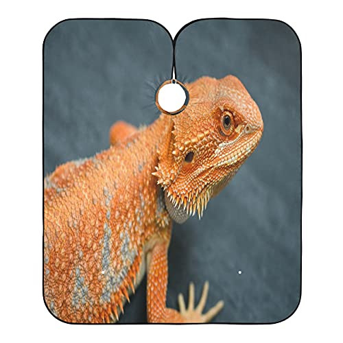 Barber Cape Red Orange Breaded Dragon Professional Salon Hair Cutting Capes For Hair Stylist Waterproof Haircut Haircutting Clients Hairstylist Capes For Adult Men Women Kids Barber Cape Red Orange Breaded Dragon Professional Salon Hair Cutting Capes For Hair Stylist Waterproof Haircut Haircutting Clients Hairstylist Capes For Adult Men Women Kids
