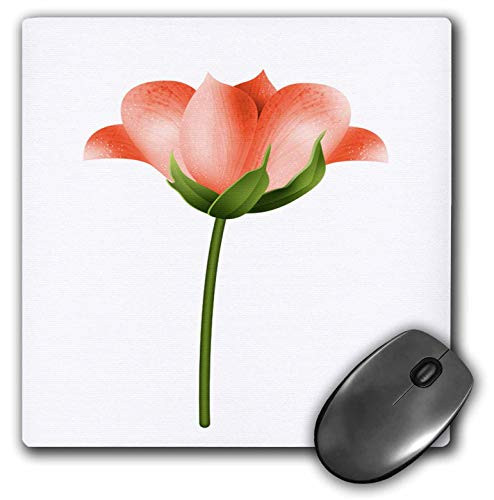 3dRose Pretty Orange Tulip Flower Illustration - Mouse Pads -mp-341662-1-