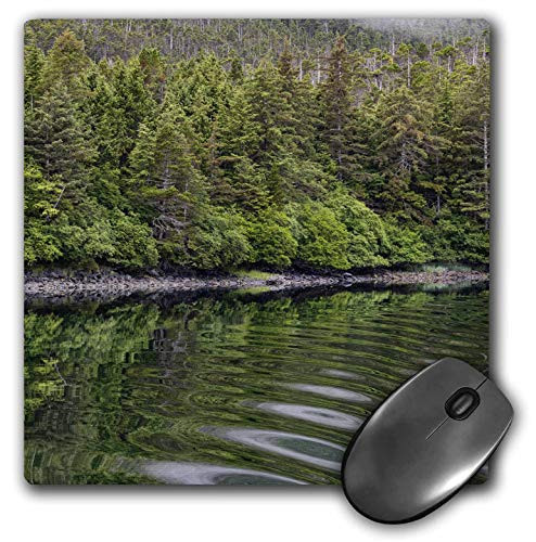 3dRose USA, Alaska, Tongass National Forest. Boat Wake in Mirror Harbor. - Mouse Pads -mp-345818-1-