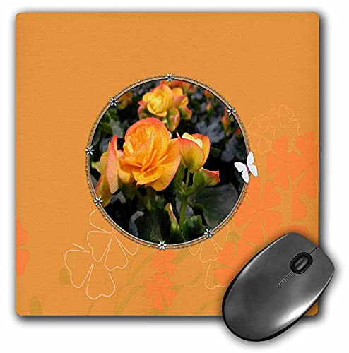 3dRose Image of Orange Yellow Begonia Photo in Flora Frame - Mouse Pads -mp-347564-1-