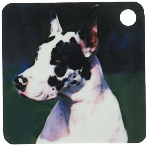 3dRose Great Dane - Key Chains, 2.25 x 4.5 inches, set of 4 -kc-247-2-
