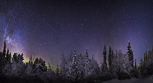 Posterazzi PPI155026L Milky Way Galaxy with Aurora Borealis or Northern Lights. Frozen Landscape Cold temperatures as Low as-47 Celsius Lapland Sweden Poster Print, 36 x 12 Varies Posterazzi PPI155026L Milky Way Galaxy with Aurora Borealis or Northern Lights. Frozen Landscape Cold temperatures as Low as-47 Celsius Lapland Sweden Poster Print, 36 x 12 Varies