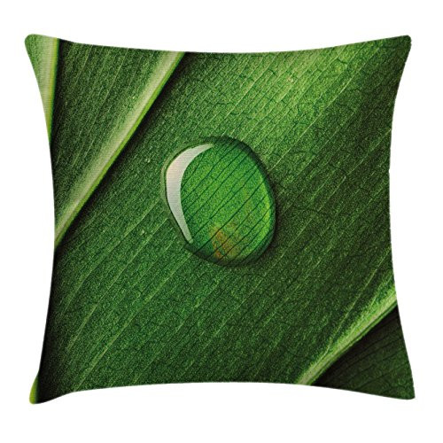 Ambesonne Green Throw Pillow Cushion Cover, Gardening Theme Water Drop on a Leaf Art Close up Pattern Print, Decorative Square Accent Pillow Case, 20" X 20", Forest Green and Apple Green Ambesonne Green Throw Pillow Cushion Cover, Gardening Theme Water Drop on a Leaf Art Close up Pattern Print, Decorative Square Accent Pillow Case, 20" X 20", Forest Green and Apple Green