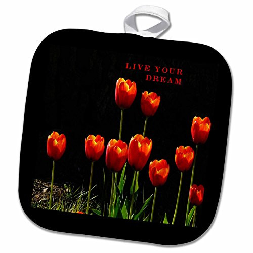 3D Rose N Floral Party Pot Holder, 8" x 8", Red, Yellow, Orange