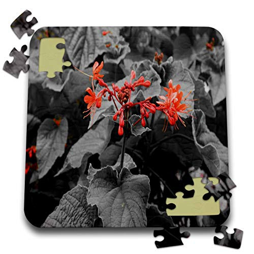 3dRose Image of Black and White with Orange Flowers - Puzzles -pzl-326058-2-