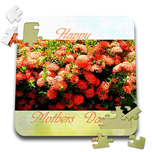 3dRose Image of Sky Blue Green Grass and Photo of Orange Mums Mothers Day - Puzzles -pzl-346191-2- 3dRose Image of Sky Blue Green Grass and Photo of Orange Mums Mothers Day - Puzzles -pzl-346191-2-