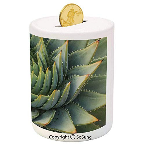 Cactus Decor Ceramic Piggy Bank,Botanic Spikey Wild Nature Inspired Western Dessert Plant Flower Artwork Image 3D Printed Ceramic Coin Bank Money Box for Kids and Adults,Green Cactus Decor Ceramic Piggy Bank,Botanic Spikey Wild Nature Inspired Western Dessert Plant Flower Artwork Image 3D Printed Ceramic Coin Bank Money Box for Kids and Adults,Green