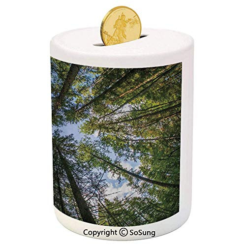 SoSung Nature Ceramic Piggy Bank,Wild Jungle Moss Forest Crown Trees Leaves Nature Photo Artwork Print 3D Printed Ceramic Coin Bank Money Box for Kids and Adults,Sky Blue and Forest Green SoSung Nature Ceramic Piggy Bank,Wild Jungle Moss Forest Crown Trees Leaves Nature Photo Artwork Print 3D Printed Ceramic Coin Bank Money Box for Kids and Adults,Sky Blue and Forest Green