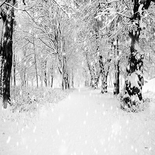 8x8ft White Accumulated Snow Woods Christmas Photography Backdrop Photo Background 8x8ft White Accumulated Snow Woods Christmas Photography Backdrop Photo Background
