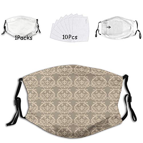 1 mask with 10 filters Activated carbon mask Facial decorations for adults Royal Victorian Botanical Design Exquisite Floral Figures